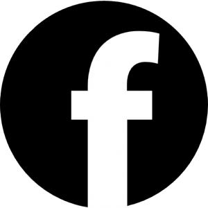 icone facebook site